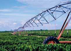 Vale comes to the rescue of Brazil’s faltering fertilizer industry